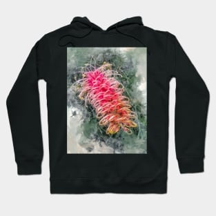 Exotic Flowers Australia - Australian Grevillea Flower Hoodie